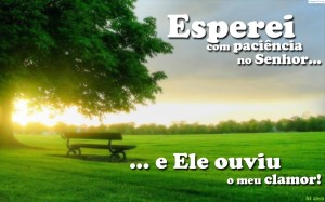 Os que esperam no Senhor